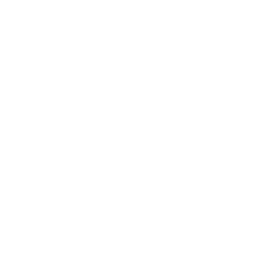logo-IDEC GROUP SPAIN-blanc.png