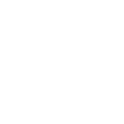 IDGS-BLANC.png