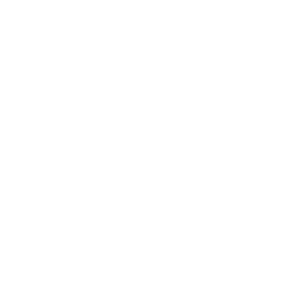 IDEC-BLANC.png