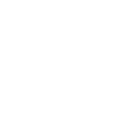 logo-IDEC-GROUP-ITALIA-blanc.png